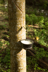 Similar image 21949908