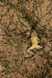 Similar image 21949911