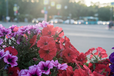 Similar image 21911594