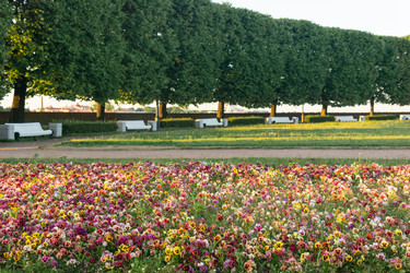 Similar image 21911595