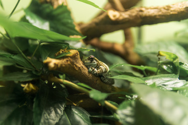 Similar image 21911598