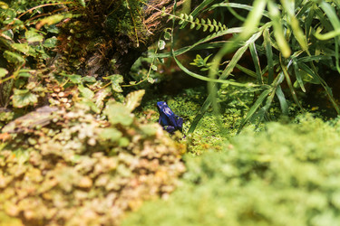 Similar image 21911599