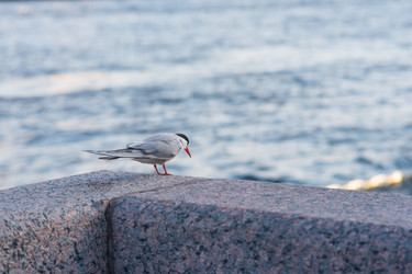 Similar image 21911600