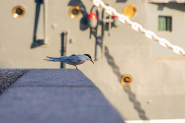 Similar image 21911601