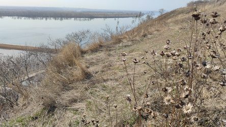 Similar image 21933047