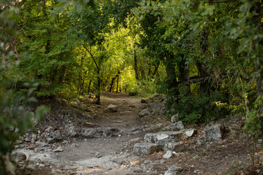 Similar image 21947210