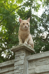 Similar image 21947449