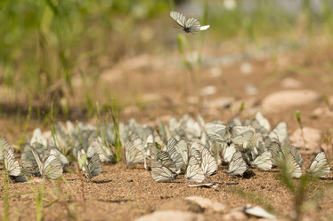 Similar image 21947662