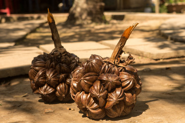 Similar image 21947858