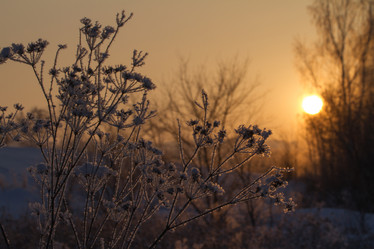 Similar image 21947861