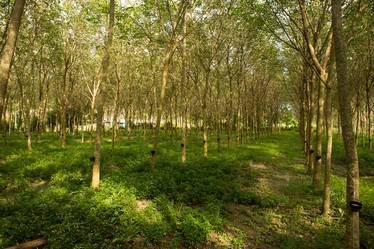 Similar image 21947862