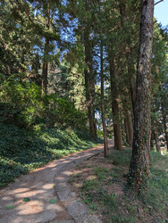 Similar image 21916414