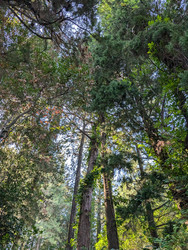 Similar image 21916415