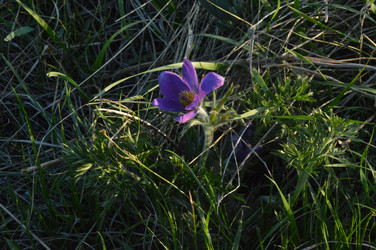 Similar image 21911605