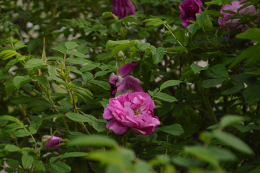 Similar image 21911607