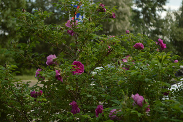 Similar image 21911608