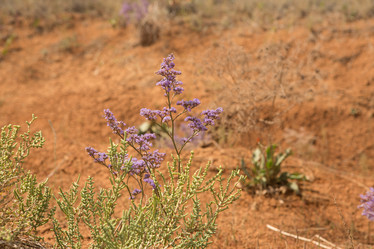 Similar image 21947460