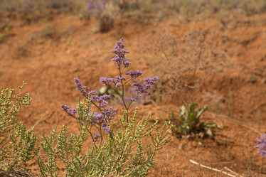 Similar image 21947462