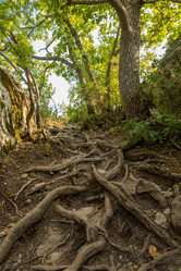 Similar image 21947470