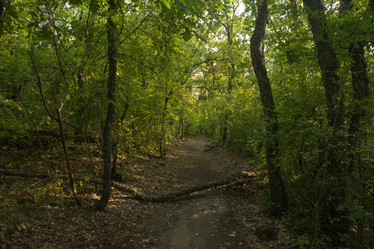 Similar image 21947674