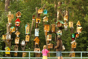 Similar image 21947677