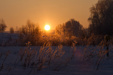 Similar image 21947866