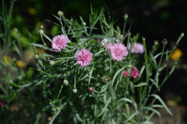 Similar image 21911613