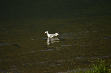 Similar image 21911617