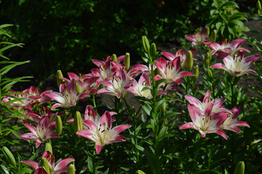 Similar image 21911621