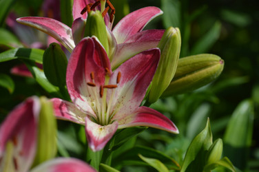 Similar image 21911622