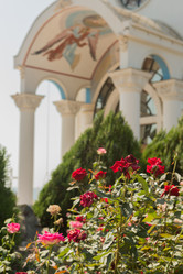 Similar image 21947682