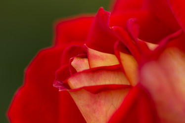 Similar image 21948266