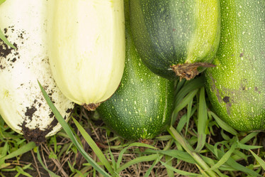 Similar image 21948268