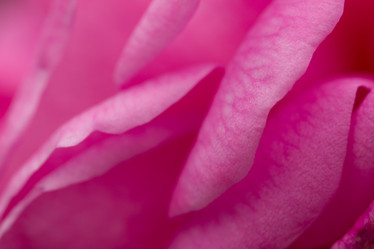 Similar image 21948271