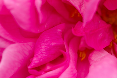 Similar image 21948272