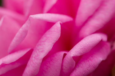 Similar image 21949922