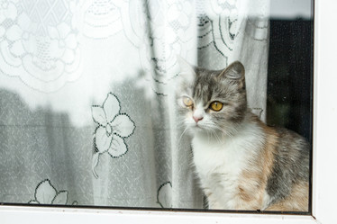 Similar image 21949926