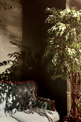 Similar image 21911624