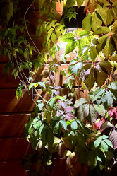 Similar image 21911625