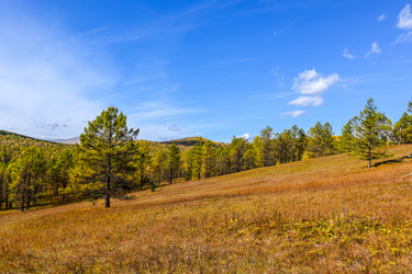 Similar image 21912191