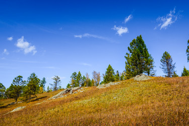 Similar image 21912192