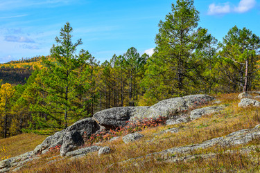 Similar image 21912193