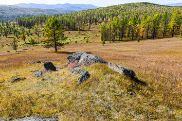 Similar image 21912196