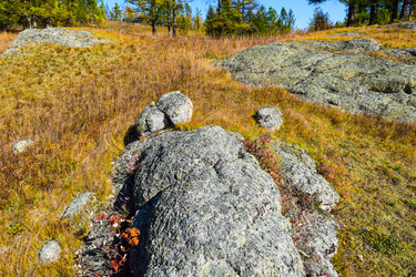 Similar image 21912198