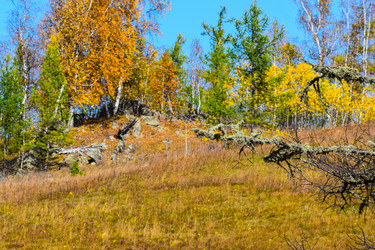 Similar image 21912200