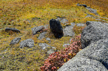 Similar image 21912201