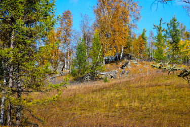 Similar image 21912202