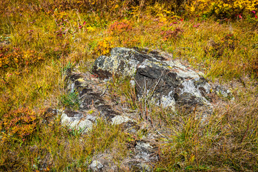 Similar image 21912497