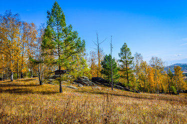 Similar image 21912498