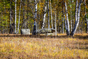 Similar image 21912499